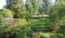 Blick in den Garten