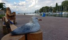 Haus, Bar und Strand