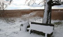 Landschaft