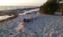 Weststrand
