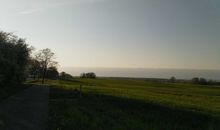 Frühlingserwachen