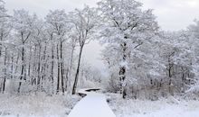 Schloonseesteg im Winter