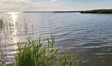 Bodden