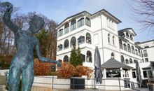 Salzwiesenrinder zwischen Baabe und Sellin