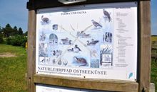 Infotafel Gothensee