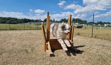 Ostseeferienpark Walkyrien - Offizier 14