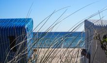 Strandkörbe an der Ostsee im Dampland