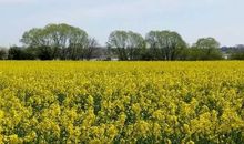 Ausblick Umgebung  FH Diedrich-Wenke
