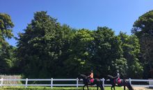 Reiten auf unserem Reitplatz