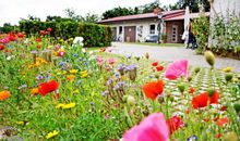 Ferienwohnungen auf dem Pommernhof