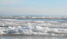 Meer