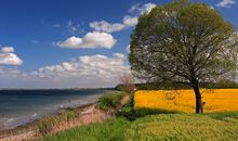 Strandidylle in Norgaardholz
