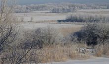 Winter am Ryck