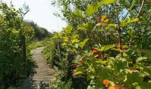 Obstgarten