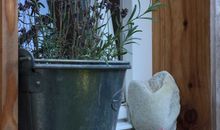 Weg durch die Felder