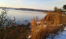 Eis und Schnee an der Schlei!