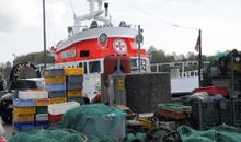Hafen Maasholm