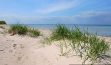 meyers-am-meer_ferienhaus-an der ostsee-tinyhouse-holz-wismar-zierow-dänemark-skandinavisch-familienurlaub-all in-sauna