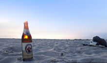 meyers-am-meer_ferienhaus-bungalow-ferienwohnung-apartment-strandhaus-an der ostsee-online buchen-mieten-sauna-wellness