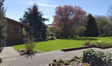 Blick in den Garten