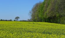 Natur pur