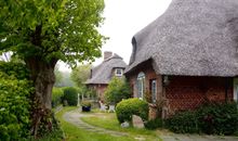 Im Garten
