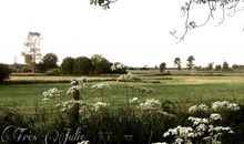Blick aus dem Garten über die Wiesen