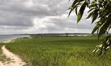 Felder und Rad-Wanderweg zur  Ostsee