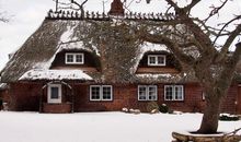 Schnee im Winter ist eher selten, aber es gibt ihn!