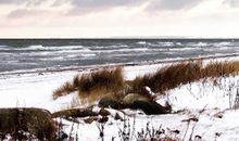 Reetdachkate Dörphof Schuby, Ostsee