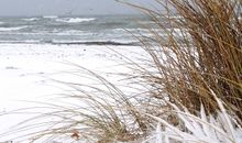 Reetdachkate Dörphof Schuby, Ostsee