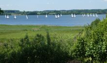 Ausblick auf die Schlei