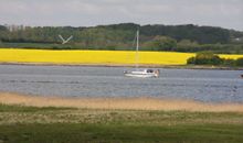 Ausblick auf die Schlei