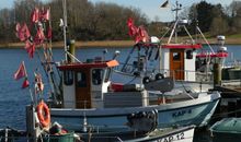 Fischerboote in Kappeln