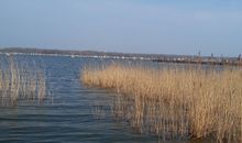 Bodden