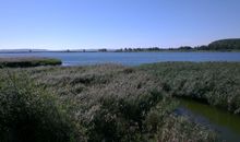 Boddenlandschaft bei Glowe
