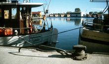 Fischereihafen Freest (3km entfernt)