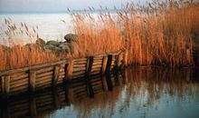 Naturhafen Spandowerhagen
