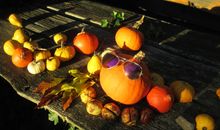 Herbstzeit