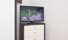 mit TV