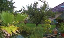 Garten mit Teich