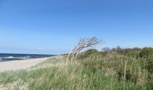 der Segelhafen lädt ein zu Segeltouren