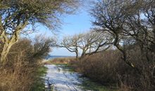 der schöne Strand von Mönkebude