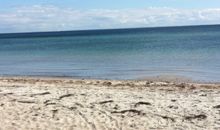Strand bei Hasselberg mit separatem Hundestrand