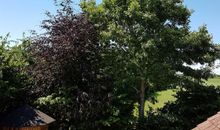 Ausblick aus dem Wohnbereich