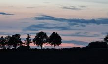 Ruhe pur