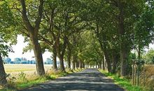 Allee-Straße