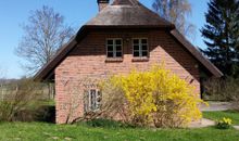 Natur pur!