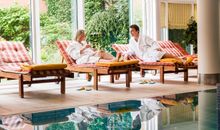 Hotel Birke