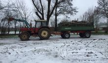 Holzernte im Winter
